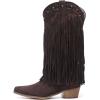 imageAmoji Women Western Cowboy Boots Pointed Toe Cowgirl Knee High Boots Pull On With Zipper 307307browntassels